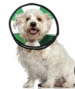 ZenPet ProCone Teal Collar de recuperación suave para