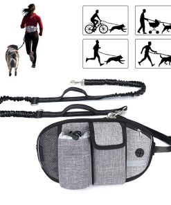 Correa para perro para caminar a la cintura - Correa para