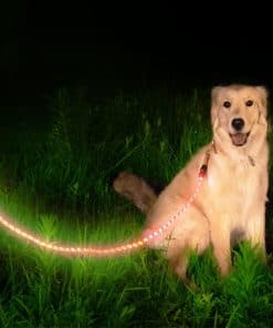 Correa de perro con luz LED recargable que brilla en la