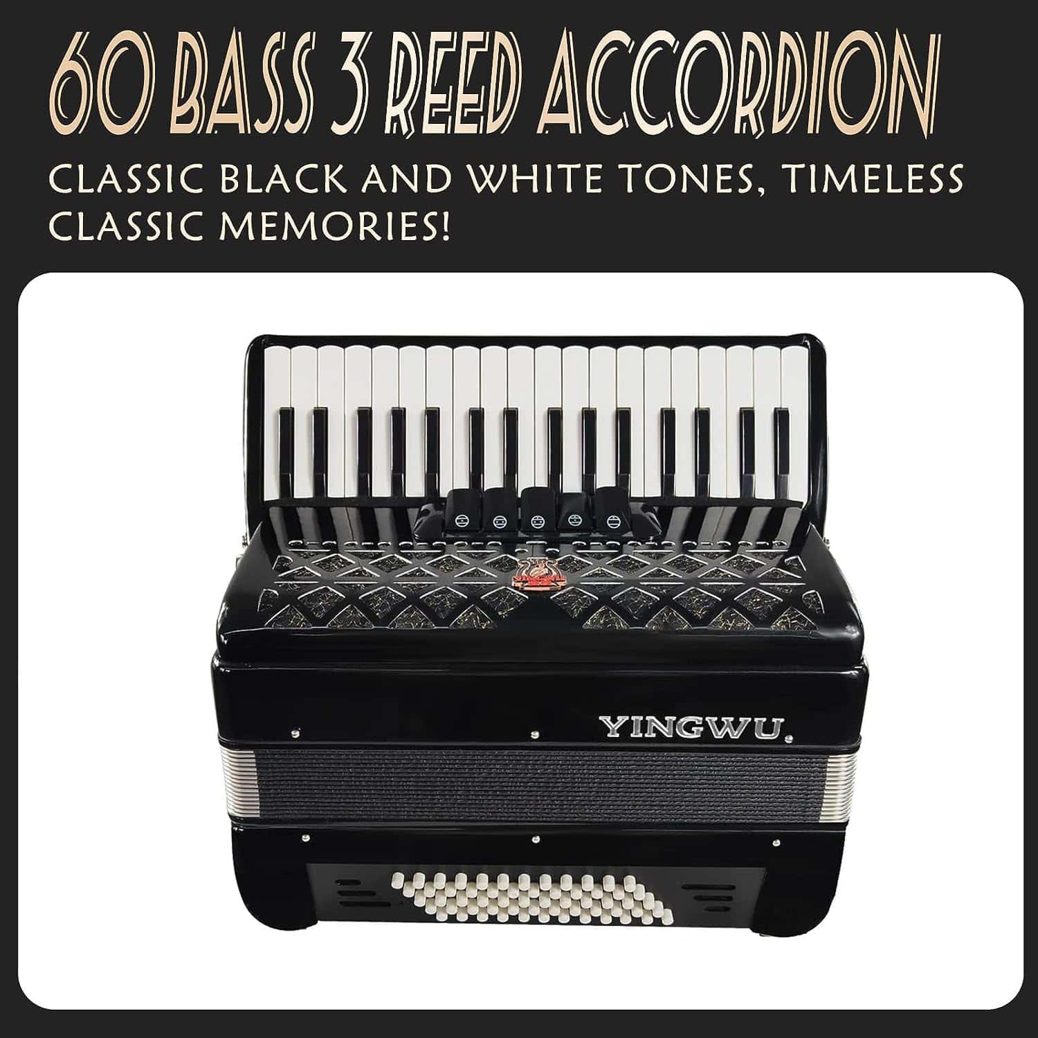 Acordeón de 34 teclas y 60 bajos de TianChunyue para - Imagen 4