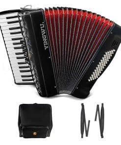 Acordeón de 34 teclas y 60 bajos de TianChunyue para