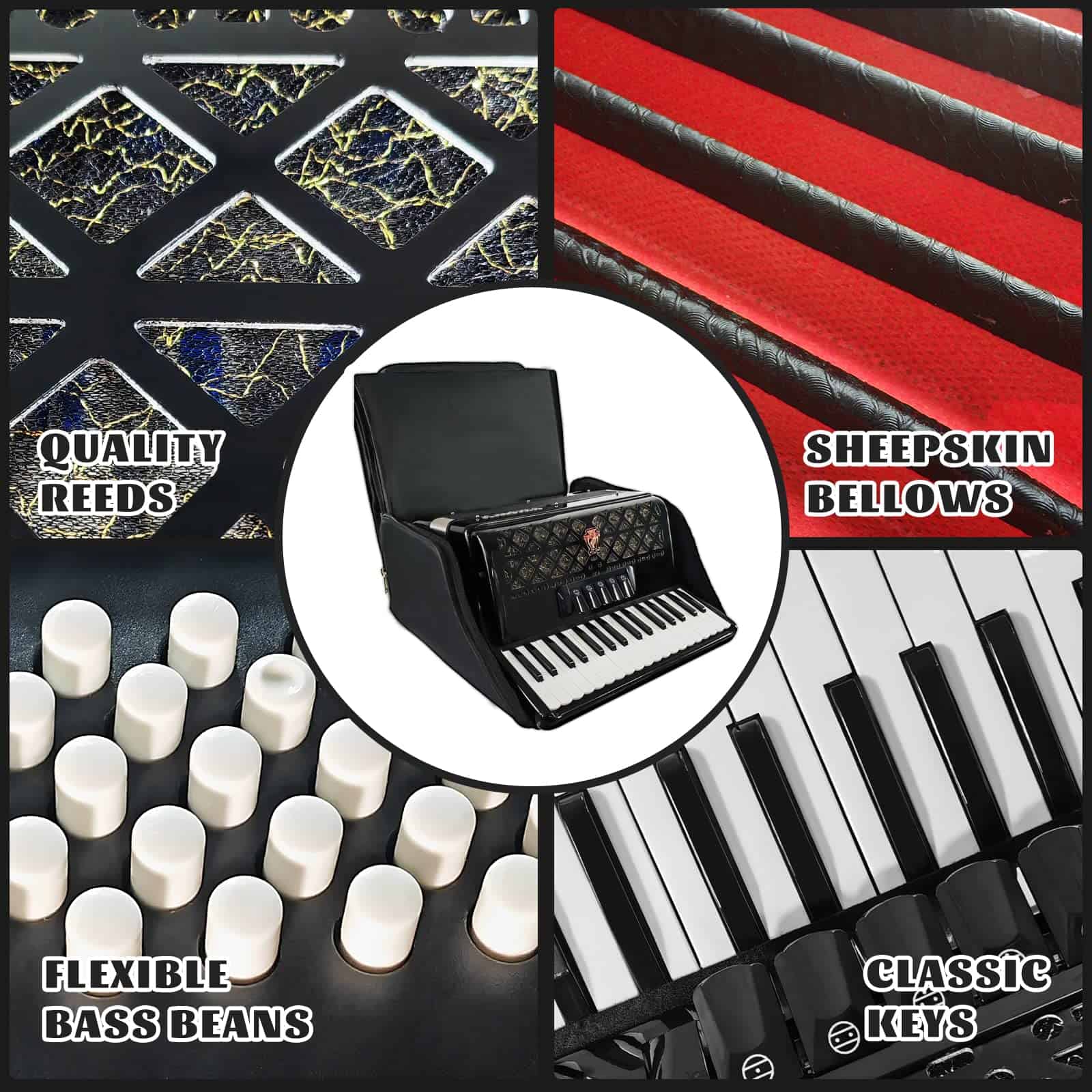 Acordeón de 34 teclas y 60 bajos de TianChunyue para - Imagen 5