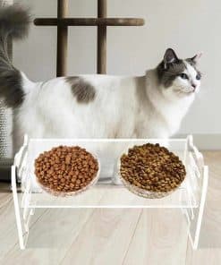 Comederos elevados para perros pequeños y gatos - Comederos