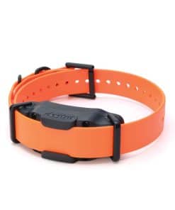 Collar adicional Dogtra 3500X para la serie Dogtra 3500X