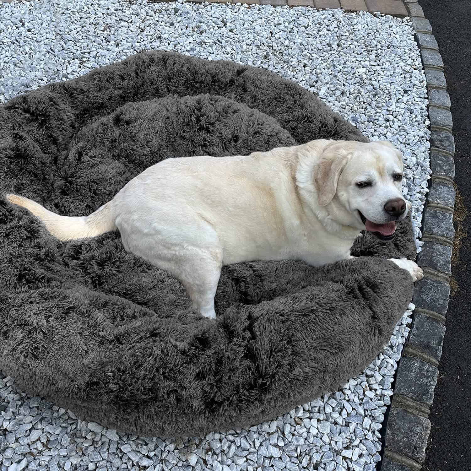 Cama relajante para perros Earthgenics - Cama esponjosa y - Imagen 7