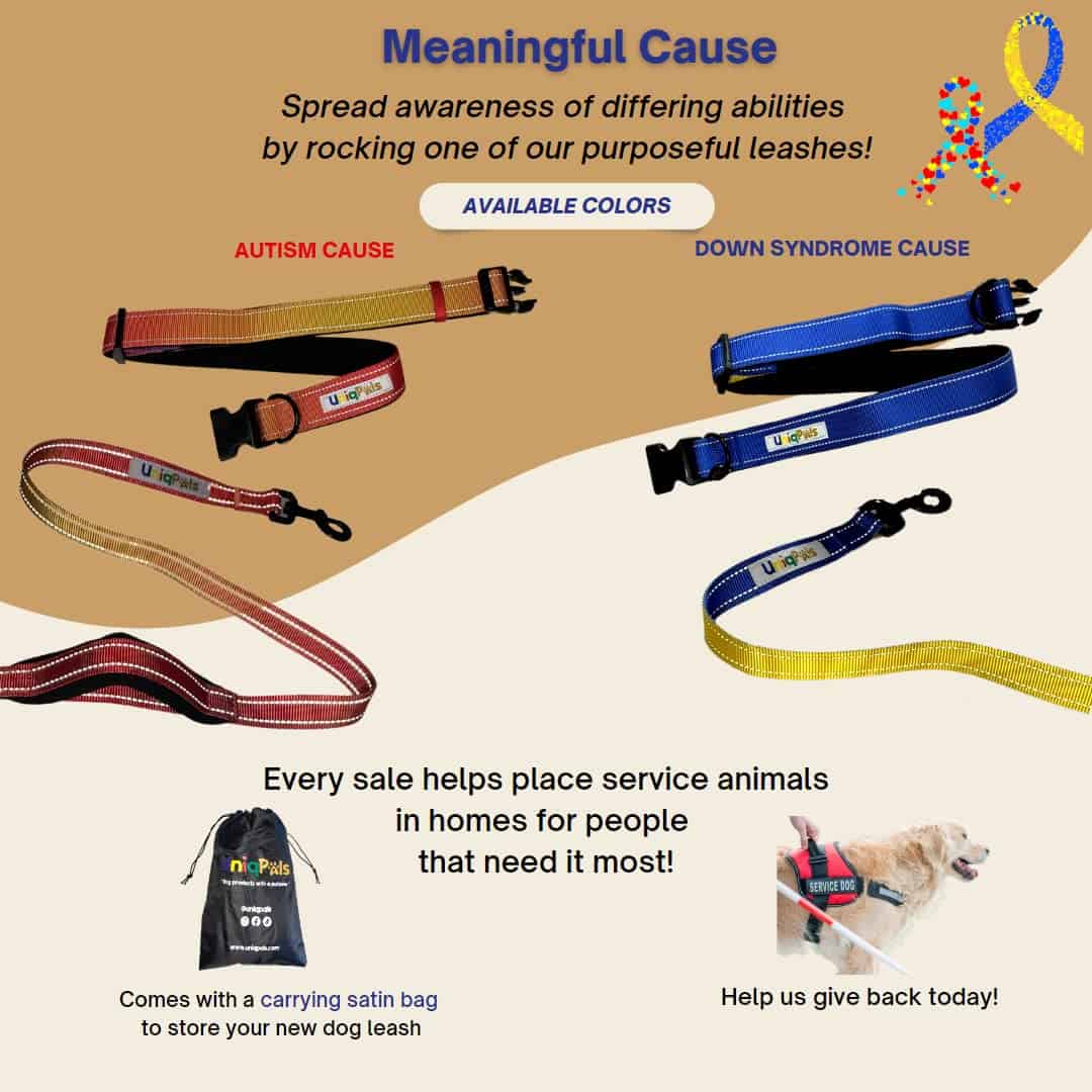 Correa manos libres UNIQPALS para perros pequeños a grandes - Imagen 8