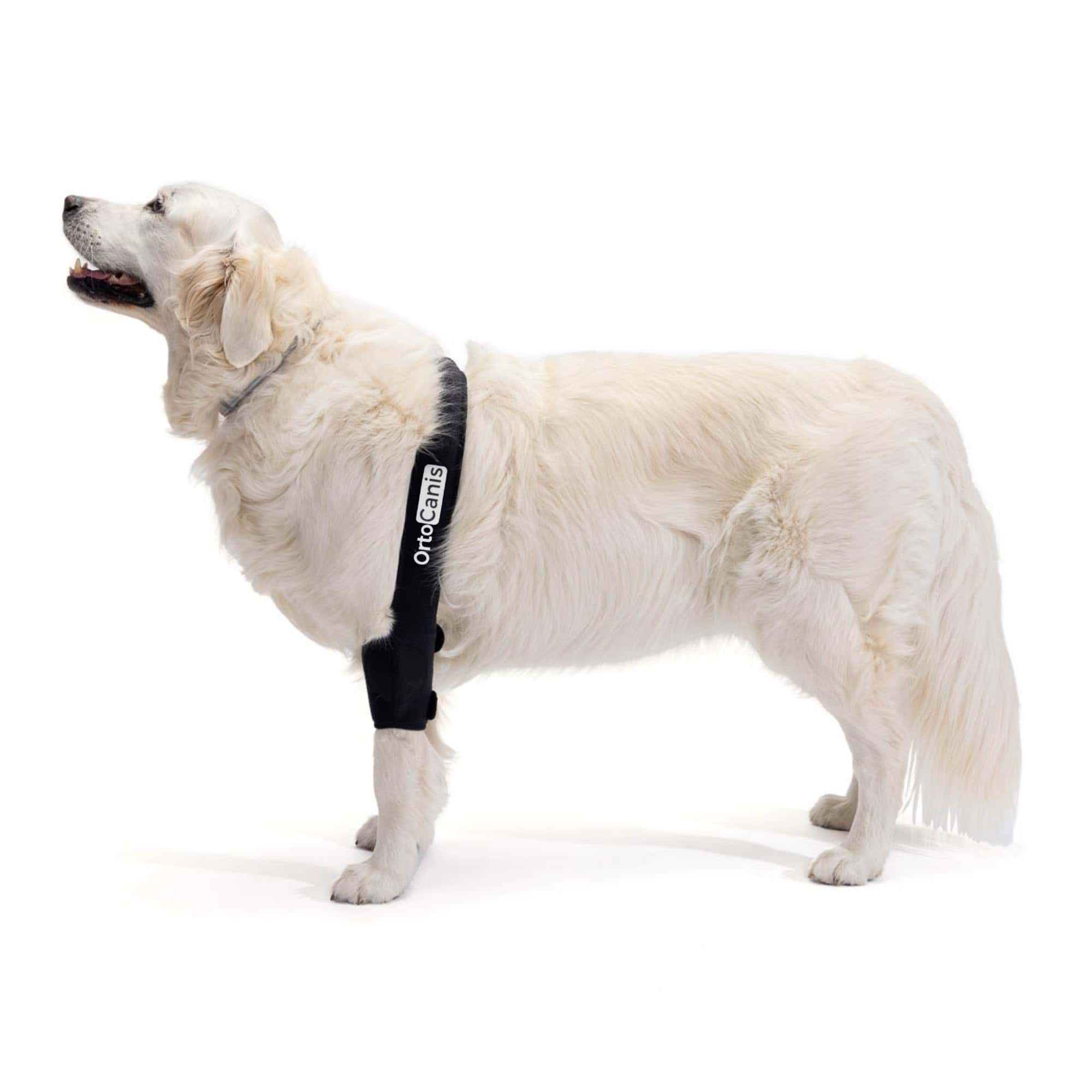 Protector de Codo para Perros con Osteoartritis, Lesiones,