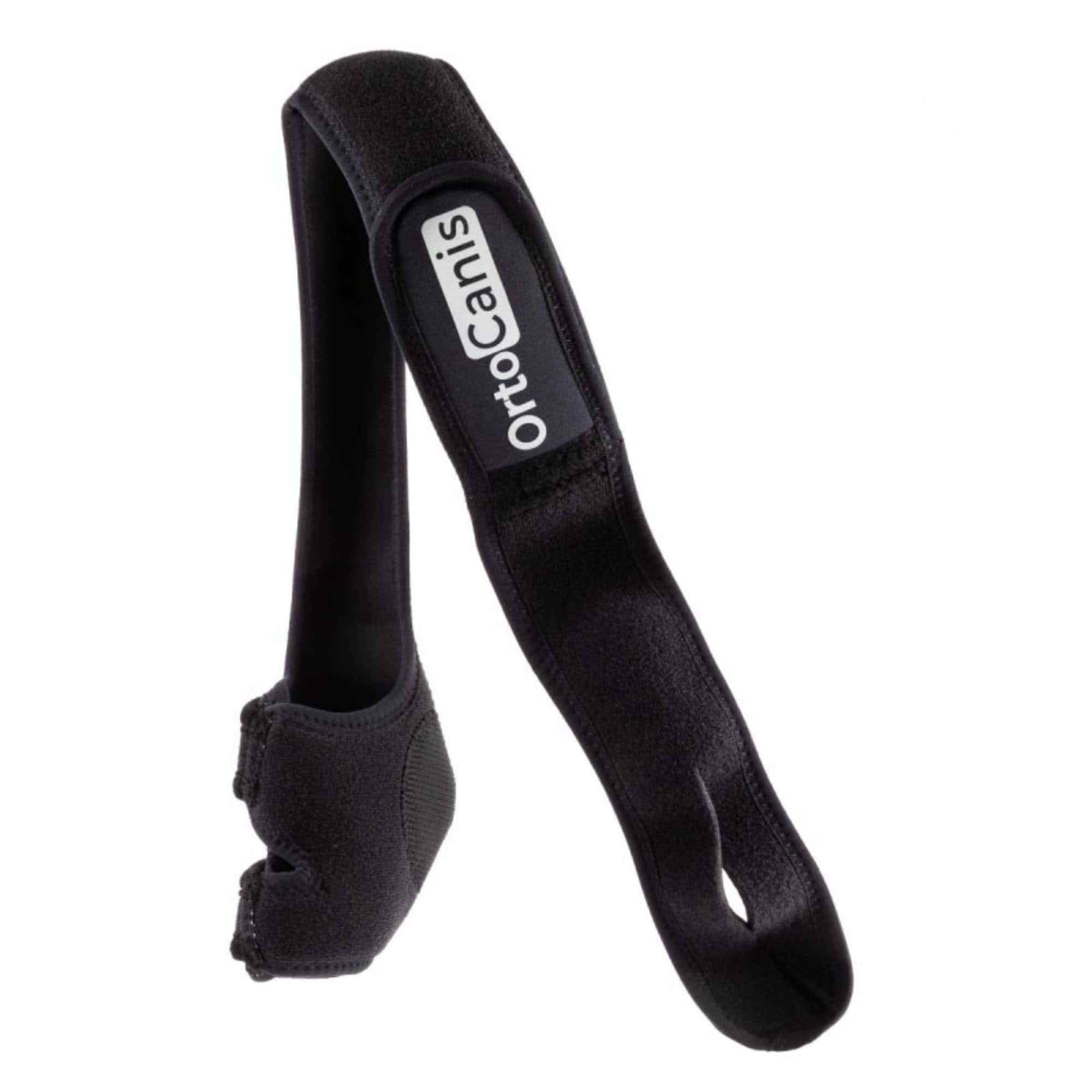 Protector de Codo para Perros con Osteoartritis, Lesiones, - Imagen 5