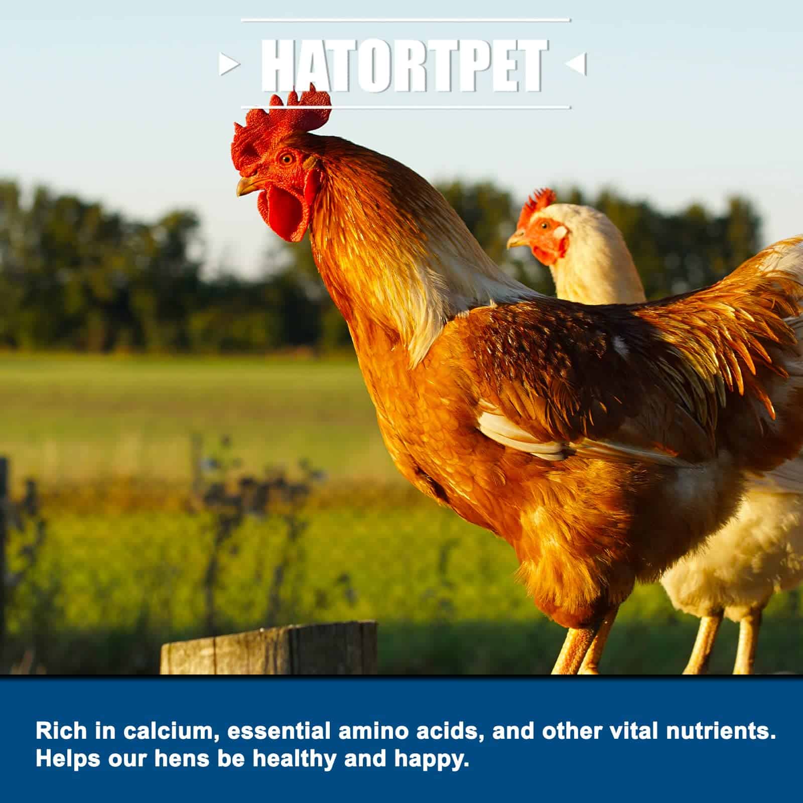 Hatortpet 5LB de Gusano de Soldado Seco de Alto Contenido - Imagen 3