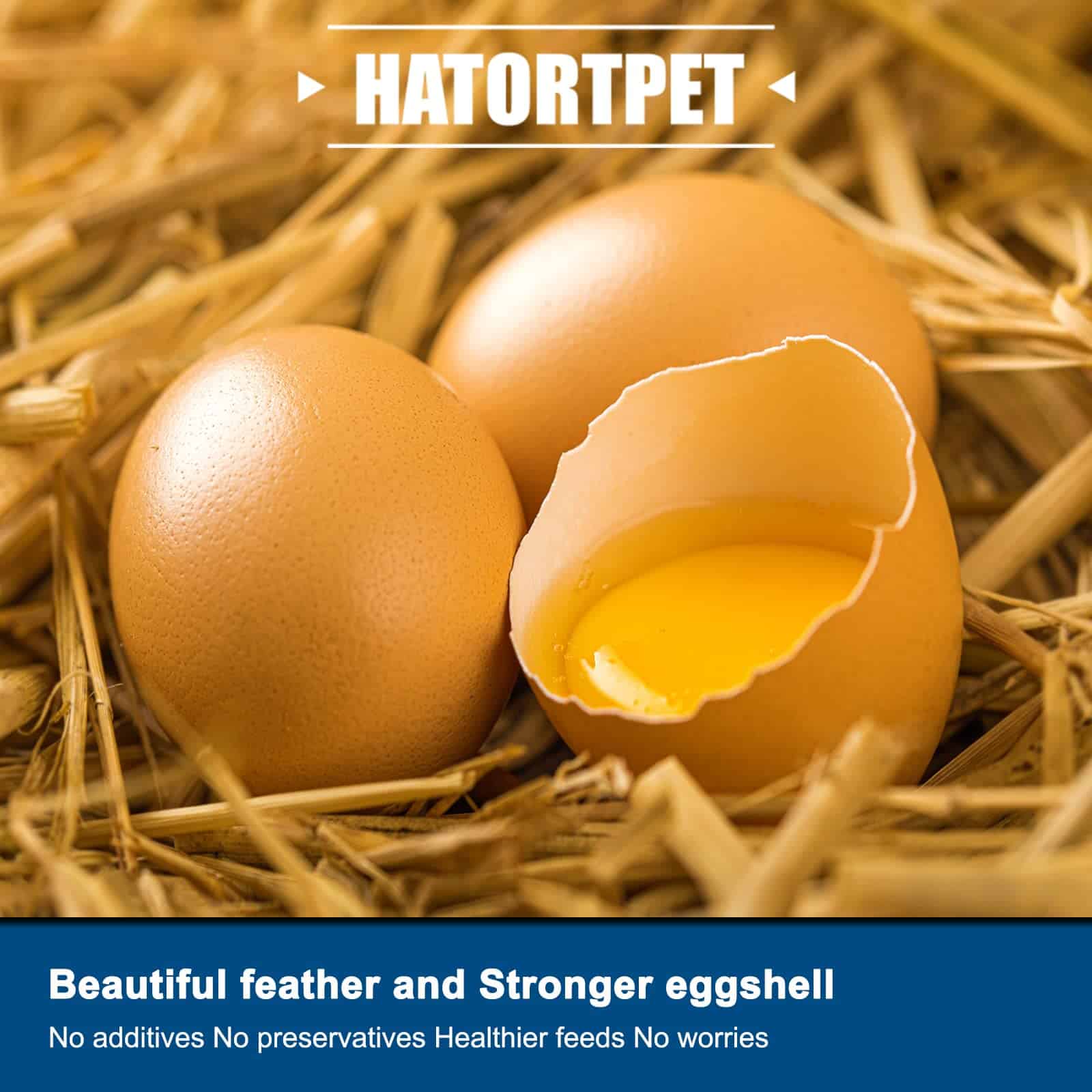 Hatortpet 5LB de Gusano de Soldado Seco de Alto Contenido - Imagen 7