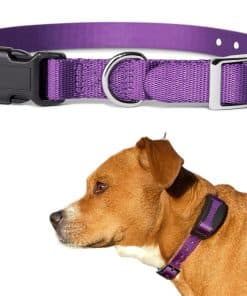 Correa de Reemplazo para Collar de Entrenamiento, Correa de