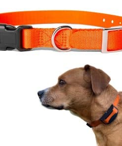 Correa de Repuesto para Collar Electrónico para Perros -