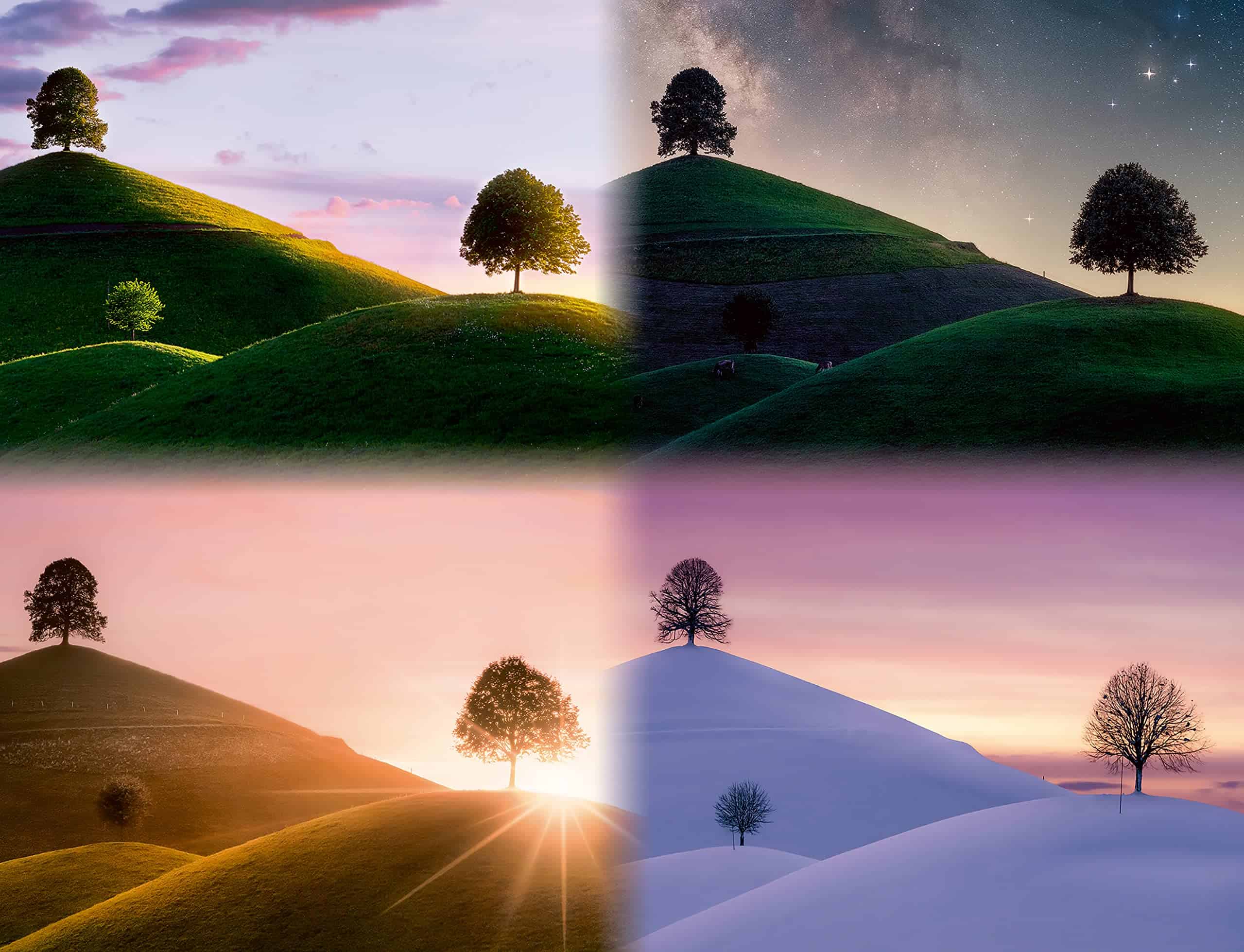 Rompecabezas Ravensburger 17443 Árboles y Montañas - Imagen 5