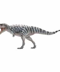 Modelos de Dinosaurios Prehistóricos PNSO (69 Mungo The