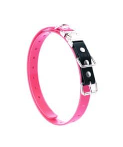 Correa de collar de perro de bungee de ajuste rápido con
