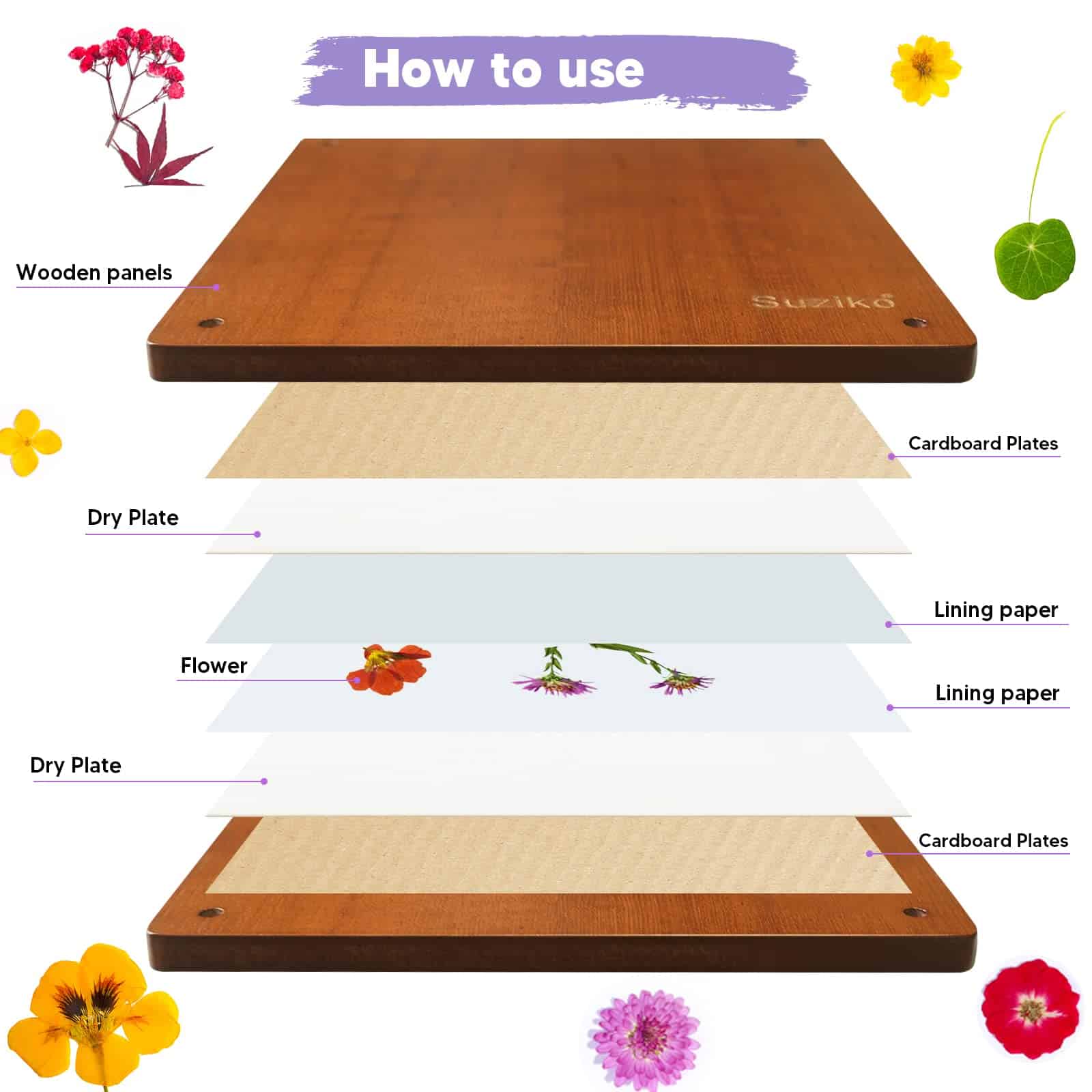 Prensa de Flores Suziko - Kit de Prensa de Flores 10x10 - Imagen 5