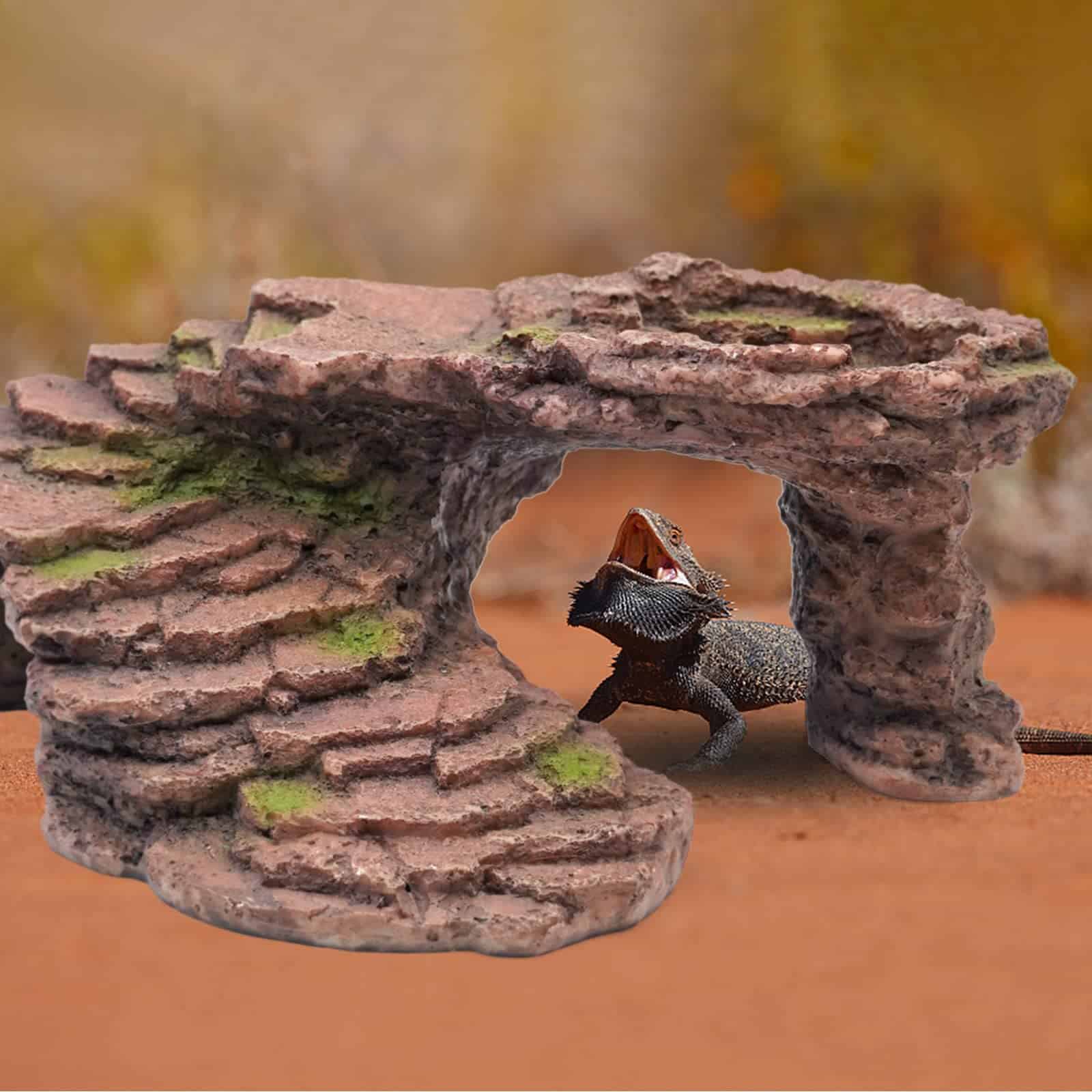 Plataforma de Tope para Tortugas PAULOZYN de Escalones de - Imagen 7