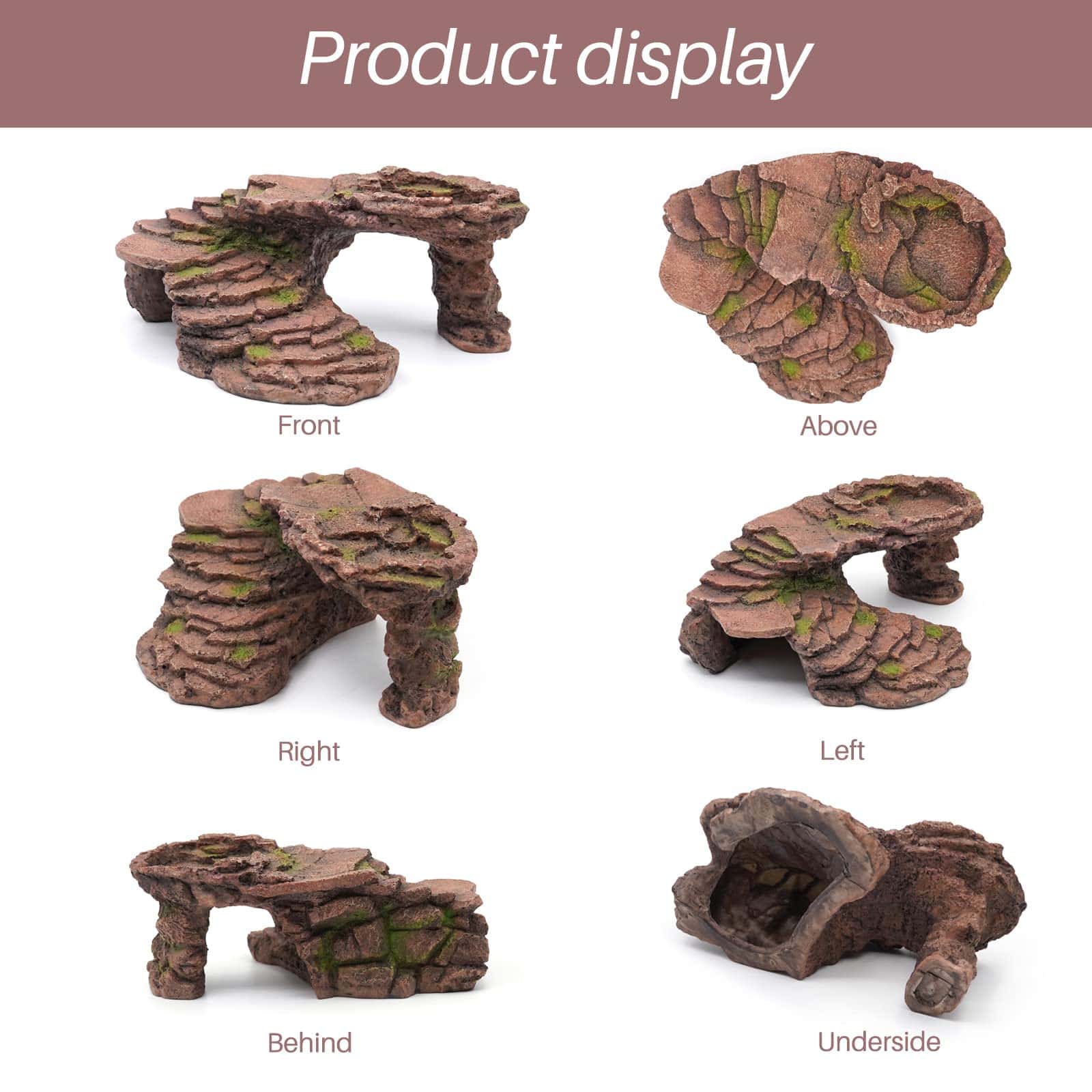 Plataforma de Tope para Tortugas PAULOZYN de Escalones de - Imagen 4
