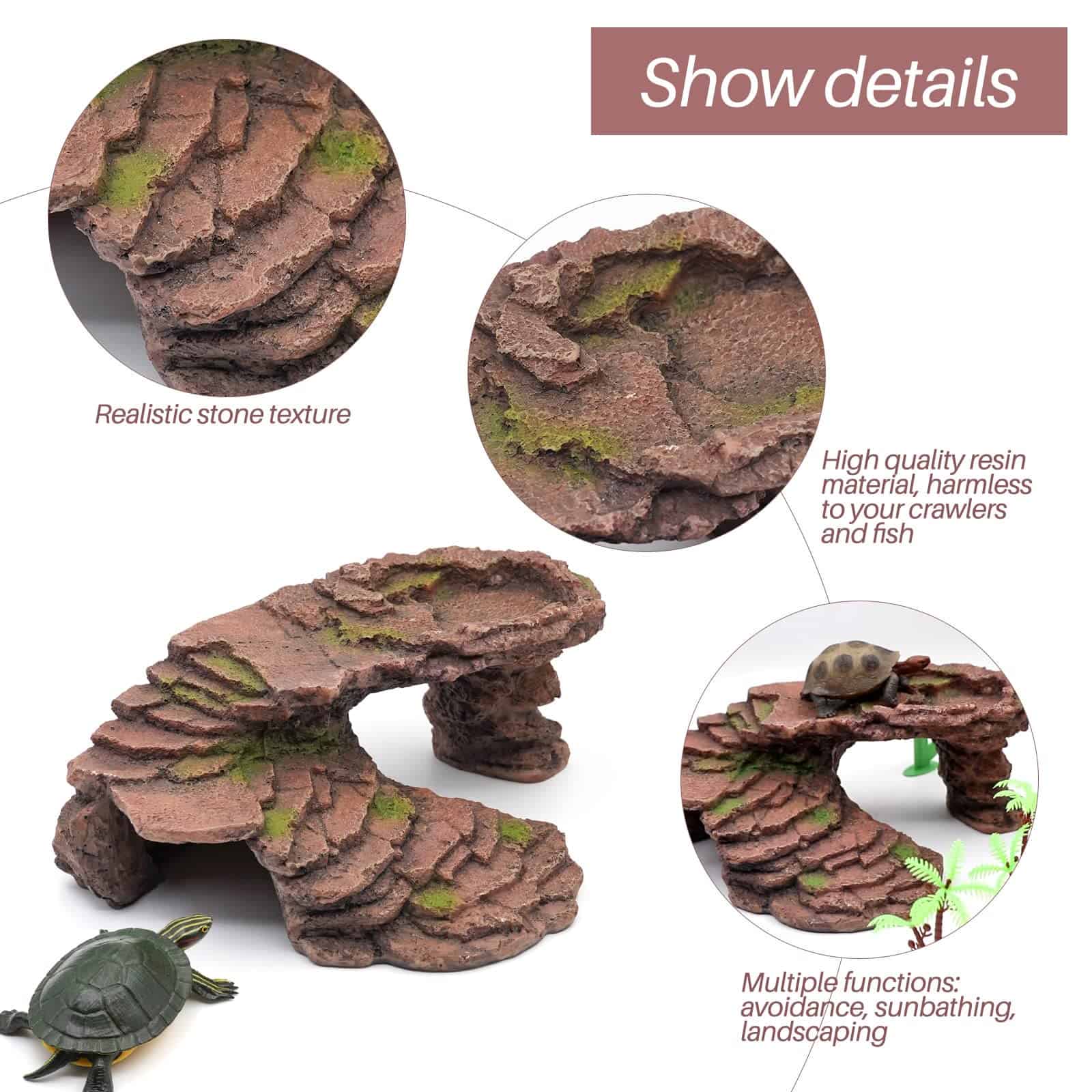 Plataforma de Tope para Tortugas PAULOZYN de Escalones de - Imagen 5