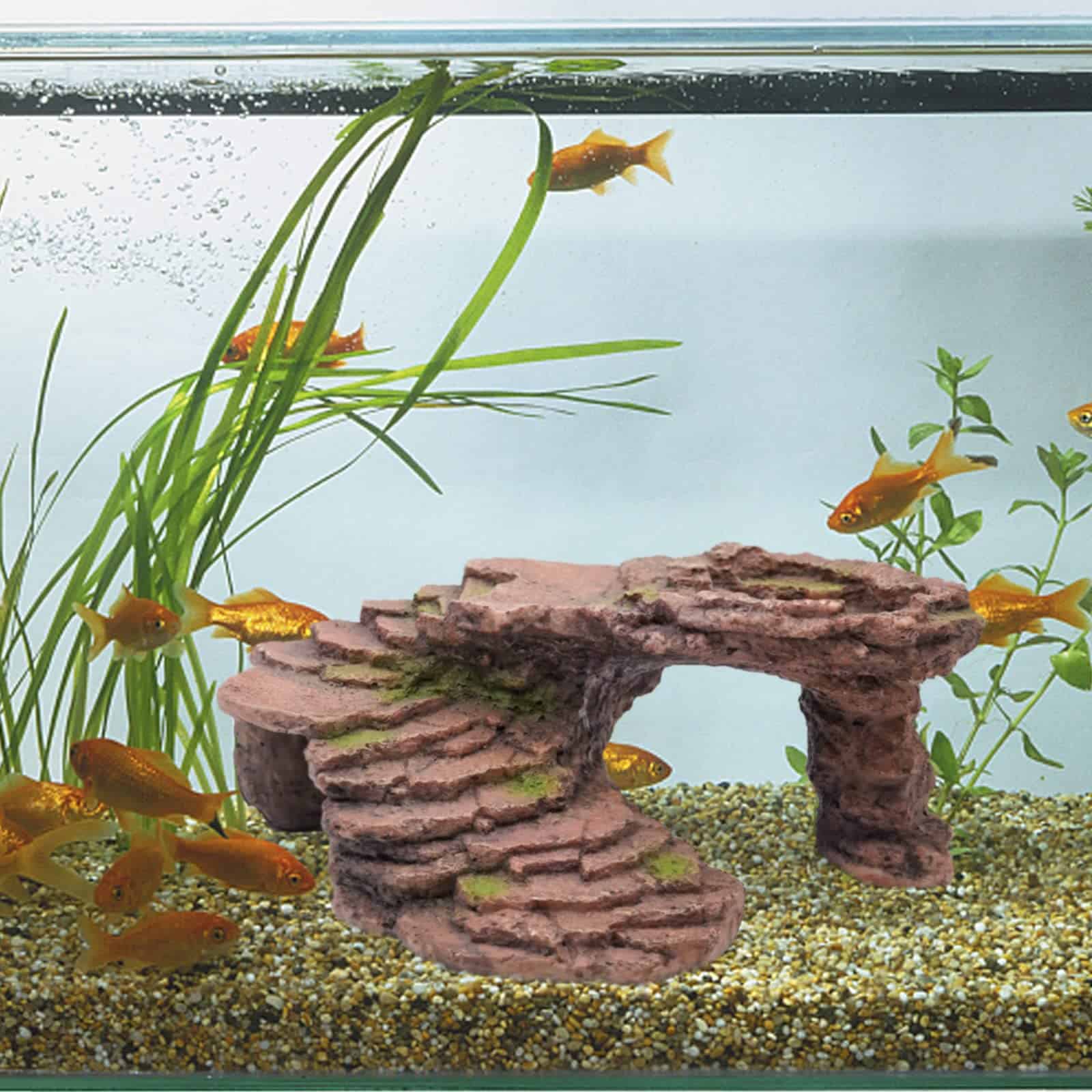 Plataforma de Tope para Tortugas PAULOZYN de Escalones de - Imagen 6