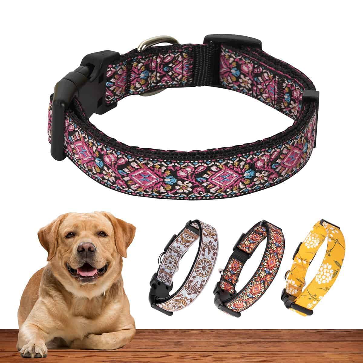 Collar para Perros Pequeños, Medianos y Grandes -