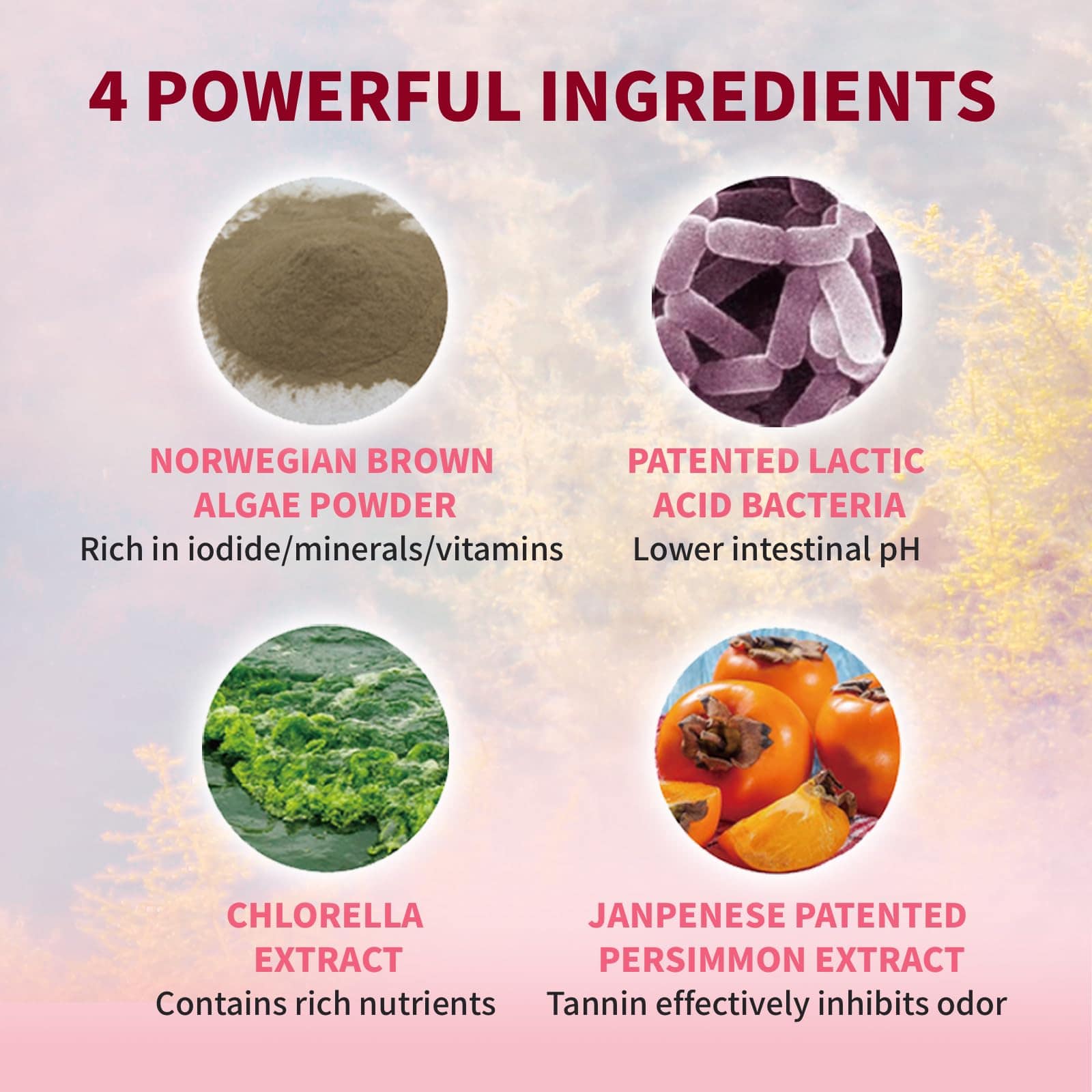 Polvo para limpieza dental de gatos Love Can Fly - - Imagen 5