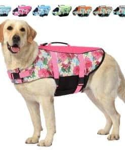 Chaleco Salvavidas para Perro Estilo Hawaiiano - Chaleco