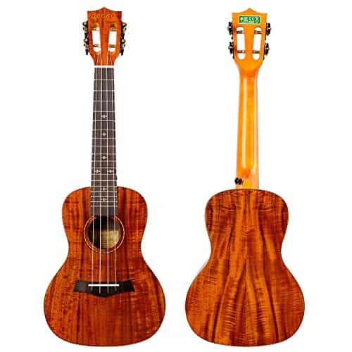 Ukelele Concert Mahogany de 23 Pulgadas para Principiantes - Imagen 3
