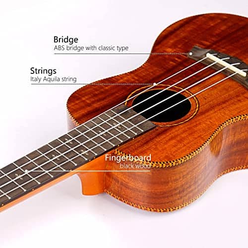 Ukelele Concert Mahogany de 23 Pulgadas para Principiantes - Imagen 5