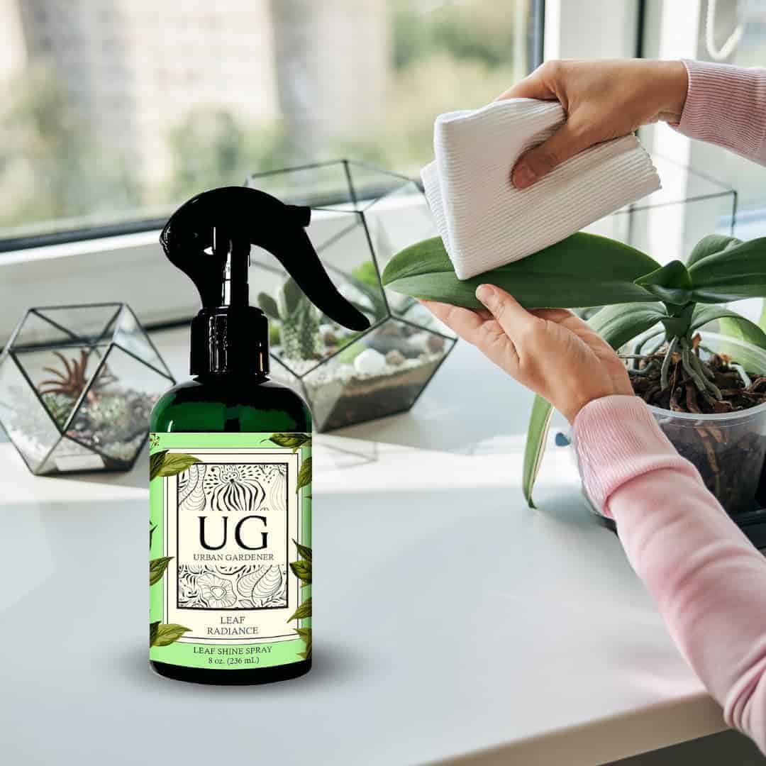 Leaf Radiance, Todo Natural Pulidor de Hojas de Plantas, - Imagen 6