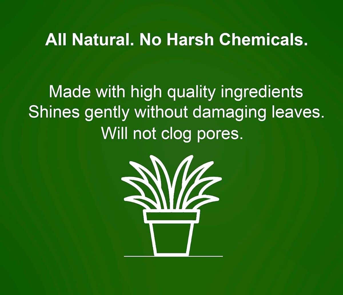 Leaf Radiance, Todo Natural Pulidor de Hojas de Plantas, - Imagen 8