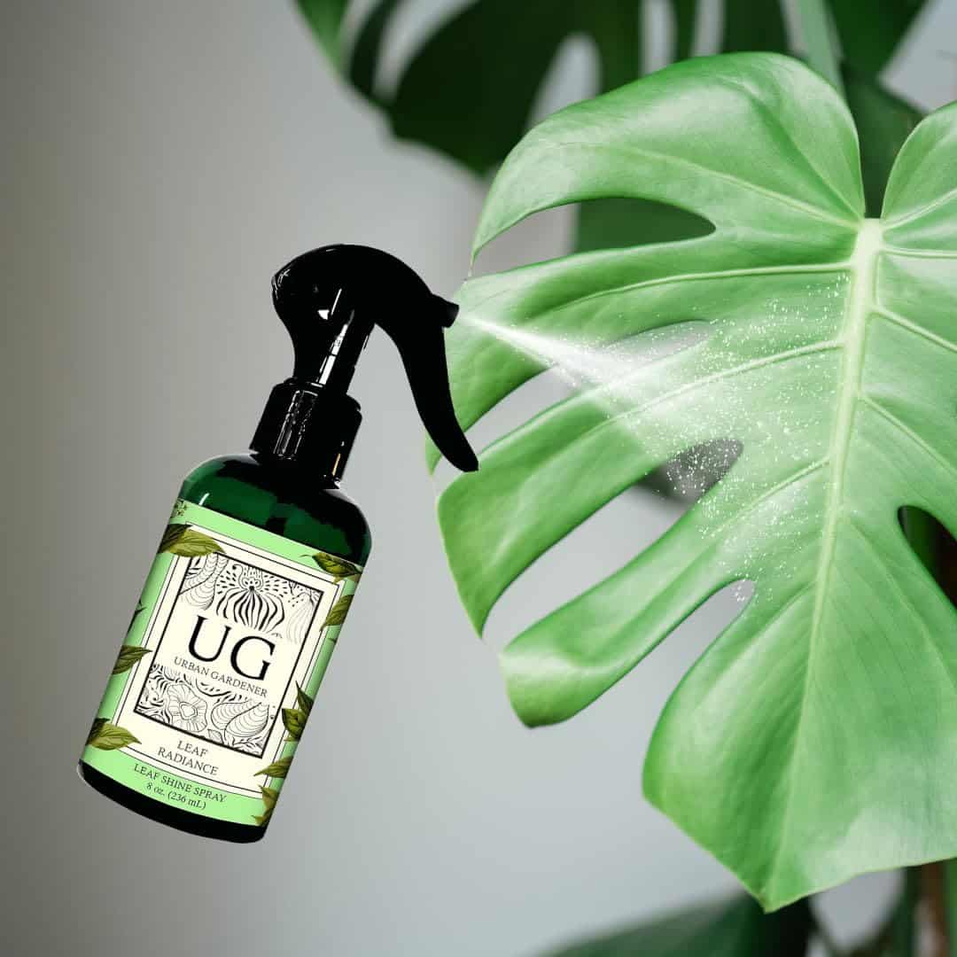 Leaf Radiance, Todo Natural Pulidor de Hojas de Plantas, - Imagen 4