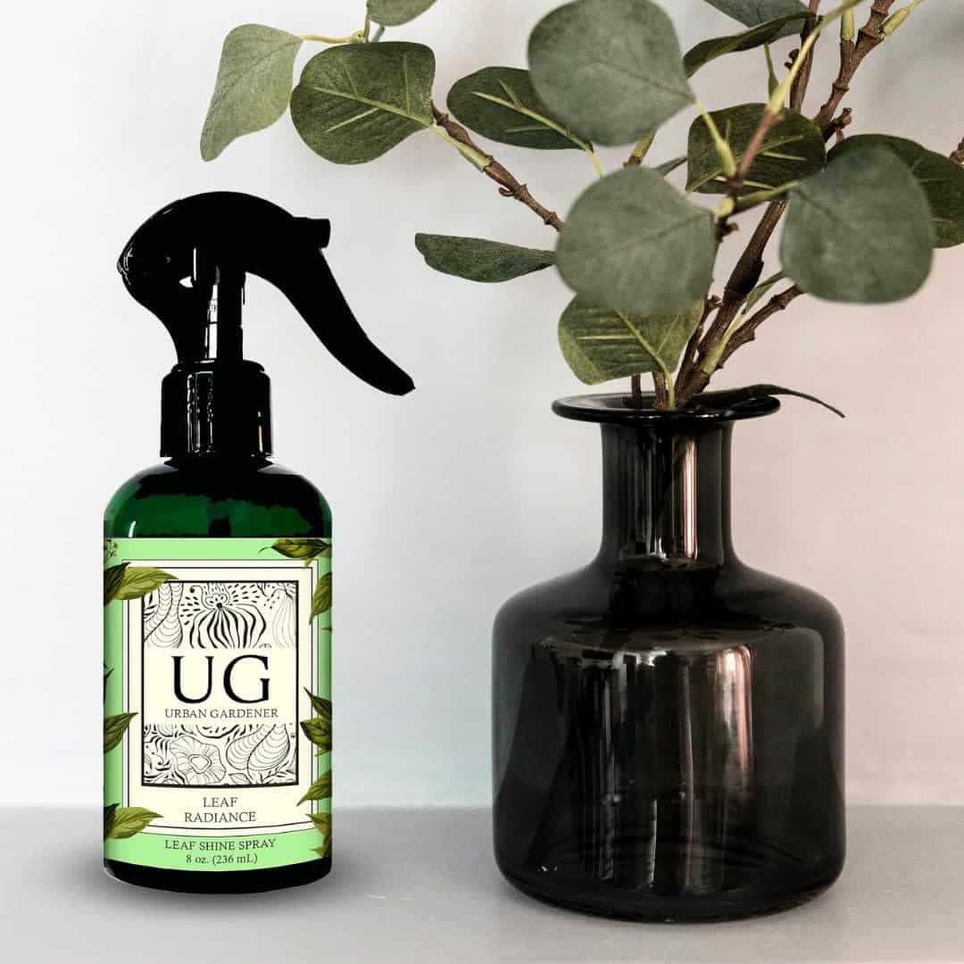 Leaf Radiance, Todo Natural Pulidor de Hojas de Plantas, - Imagen 5