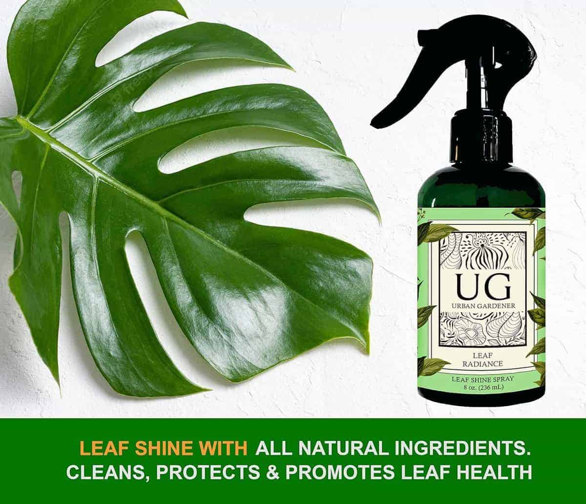 Leaf Radiance, Todo Natural Pulidor de Hojas de Plantas, - Imagen 3