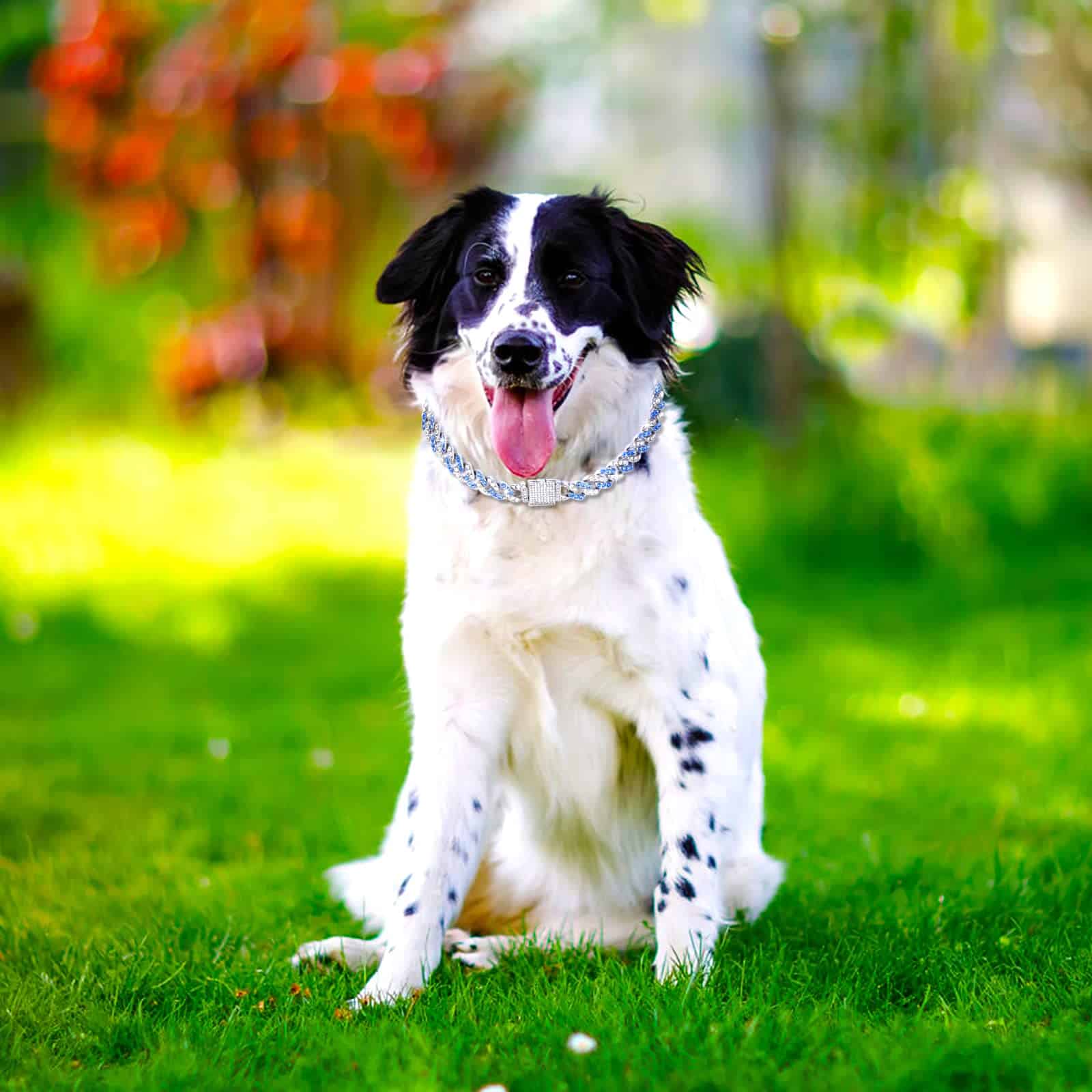 Collar de Cadena de Perro de 18 Pulgadas con Brillo Azul - Imagen 3