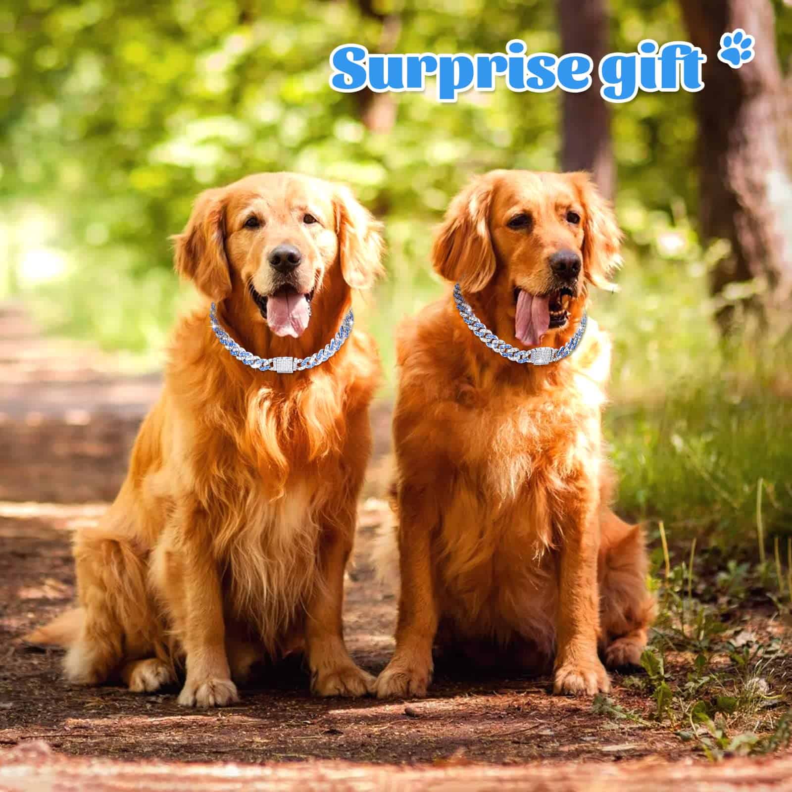 Collar de Cadena de Perro de 18 Pulgadas con Brillo Azul - Imagen 4