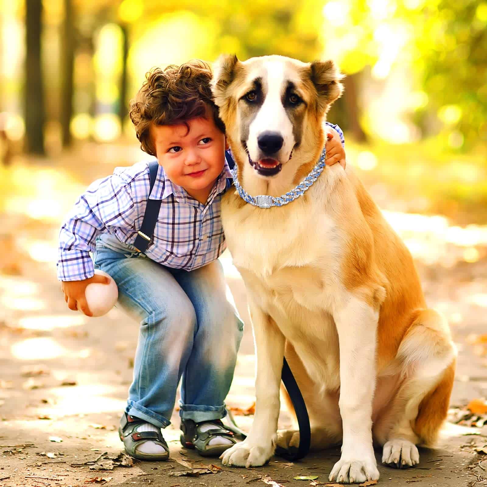 Collar de Cadena de Perro de 18 Pulgadas con Brillo Azul - Imagen 7