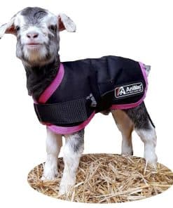 Chamarra para Cordero AniMac - Adecuada para Cria y