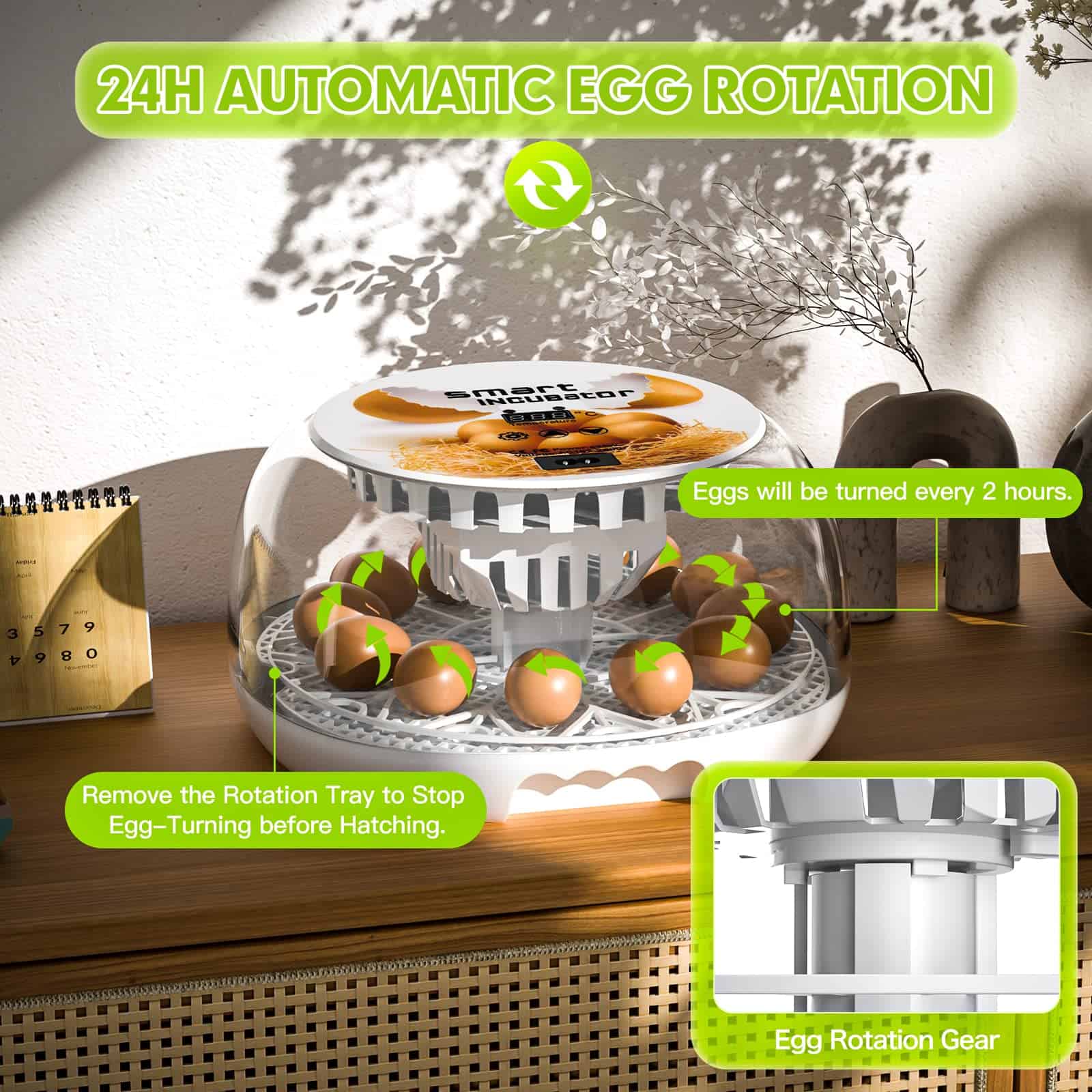 Incubadora Automática Digital Mejorada, Simulador de - Imagen 6