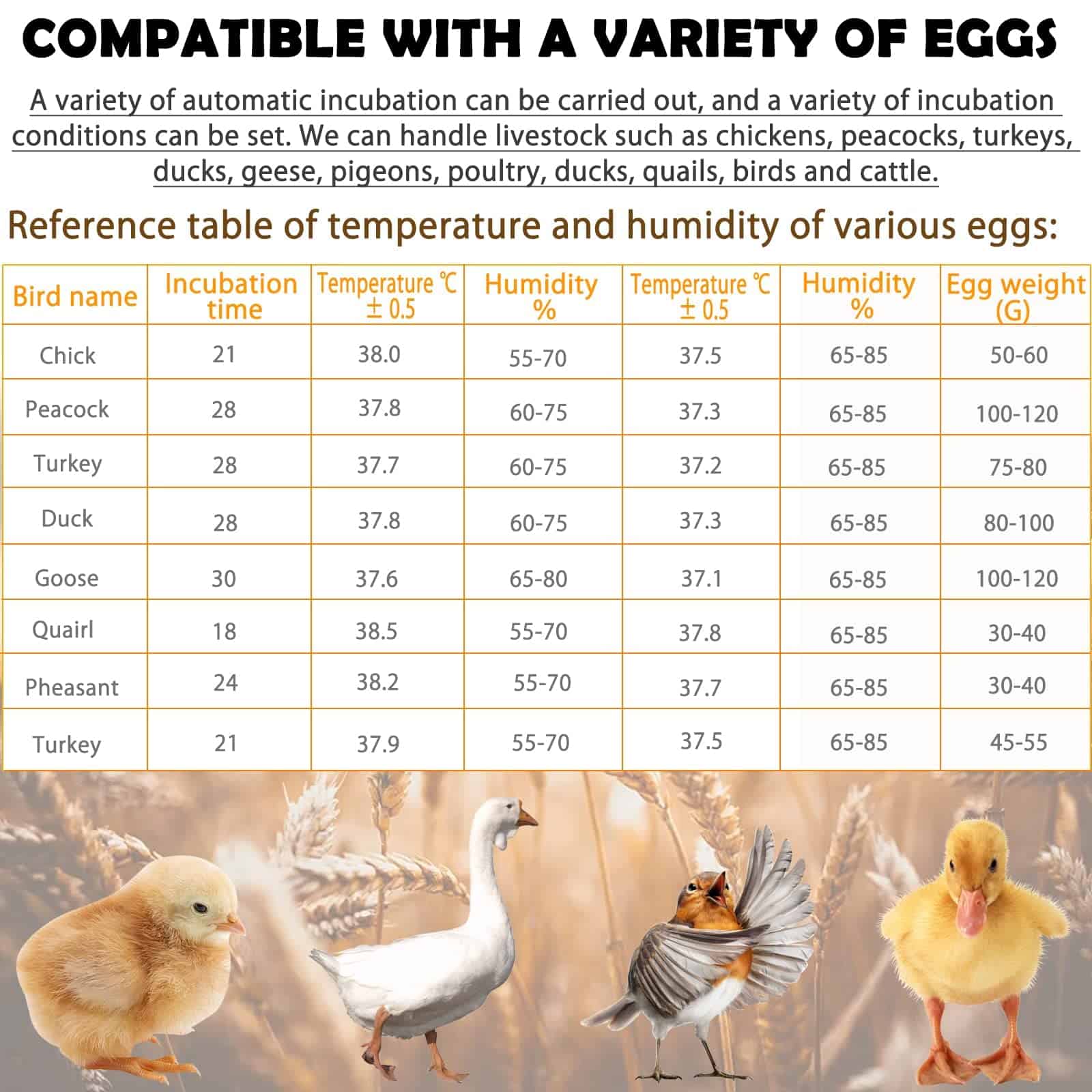 Incubadora Automática Digital Mejorada, Simulador de - Imagen 10