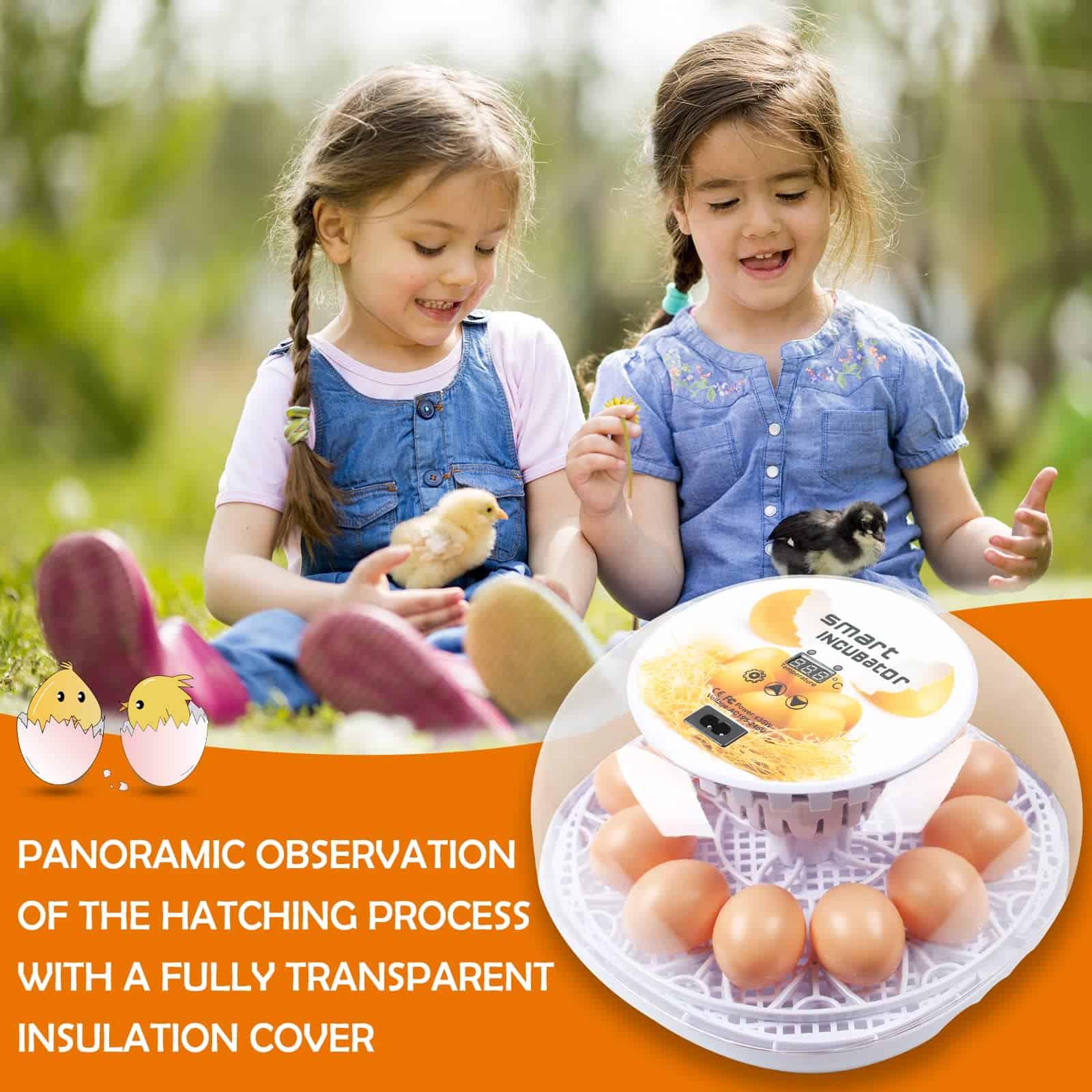 Incubadora Automática Digital Mejorada, Simulador de - Imagen 9