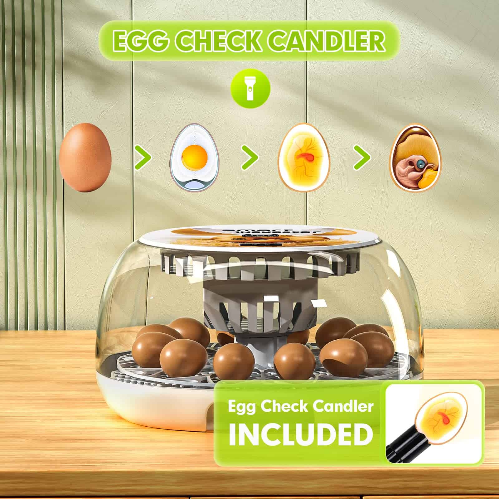 Incubadora Automática Digital Mejorada, Simulador de - Imagen 8