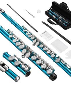 Flauta POGOLAB, Agujero C Cerrado 16 Llaves Instrumento de