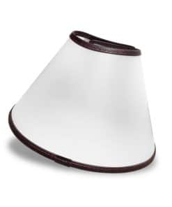 Collar de Protección Ajustable para Perros Elizabeth Última