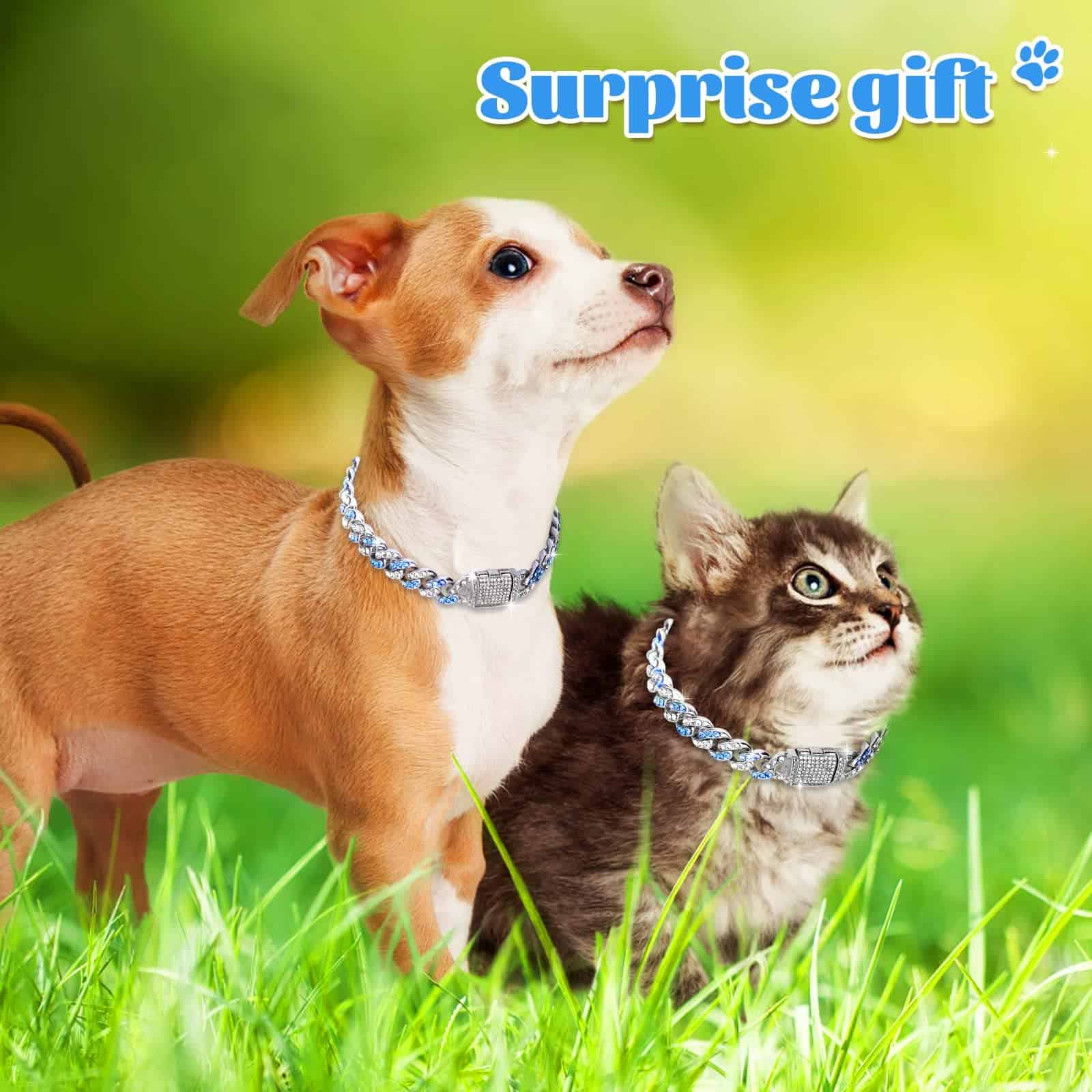 Collar de Cadena Brillante de 18 pulgadas para Perros Teal - Imagen 5