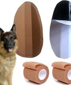 Soporte Adhesivo Vertical para Corrección de Orejas de