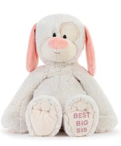 DEMDACO Mejor Hermana Mayor Perro de Peluche Blanco y Rosa