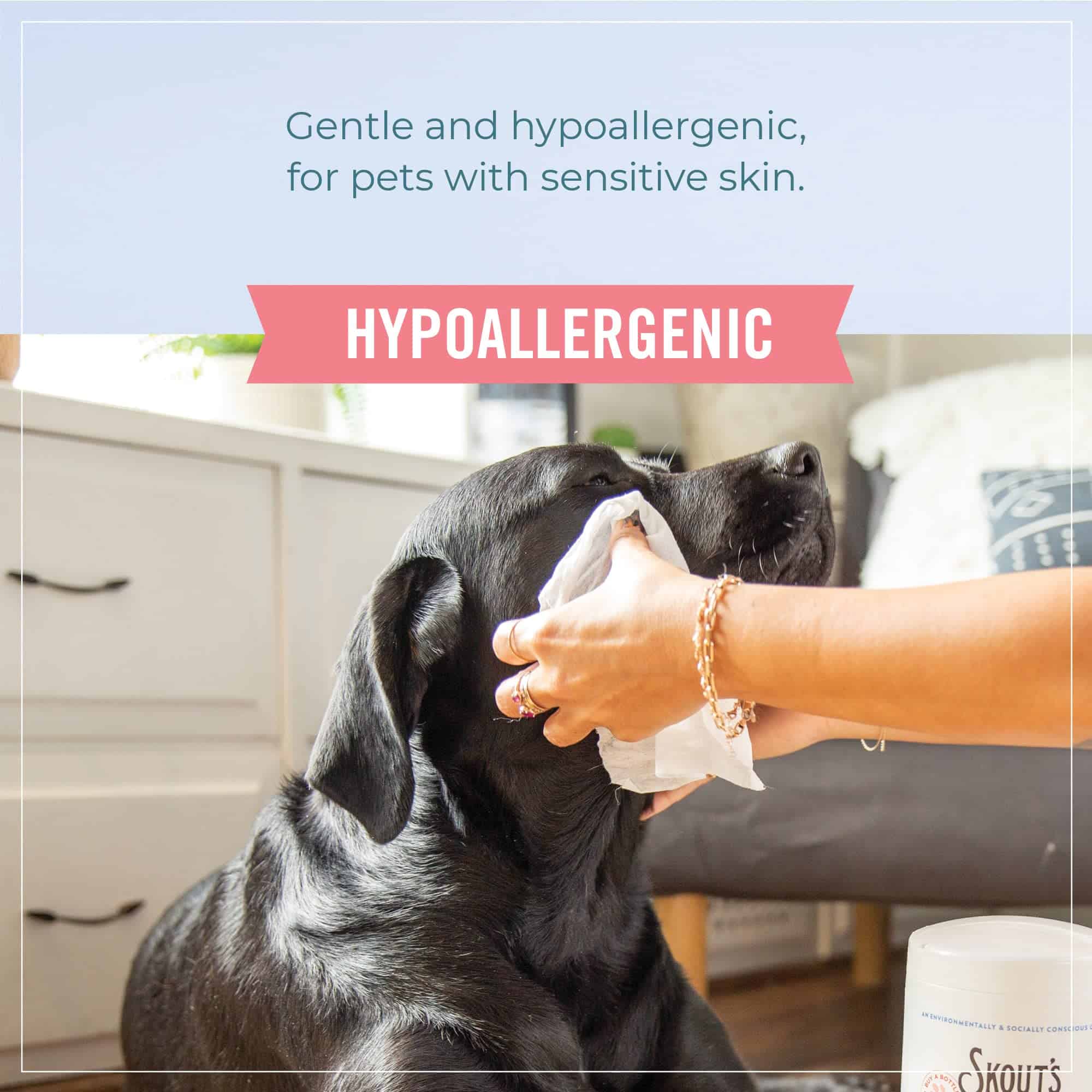 Toallitas de Aseo para Mascotas SKOUT'S HONOR para Perros y - Imagen 7