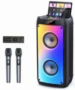 Máquina de Karaoke HWWR con 2 Micrófonos Inalámbricos,