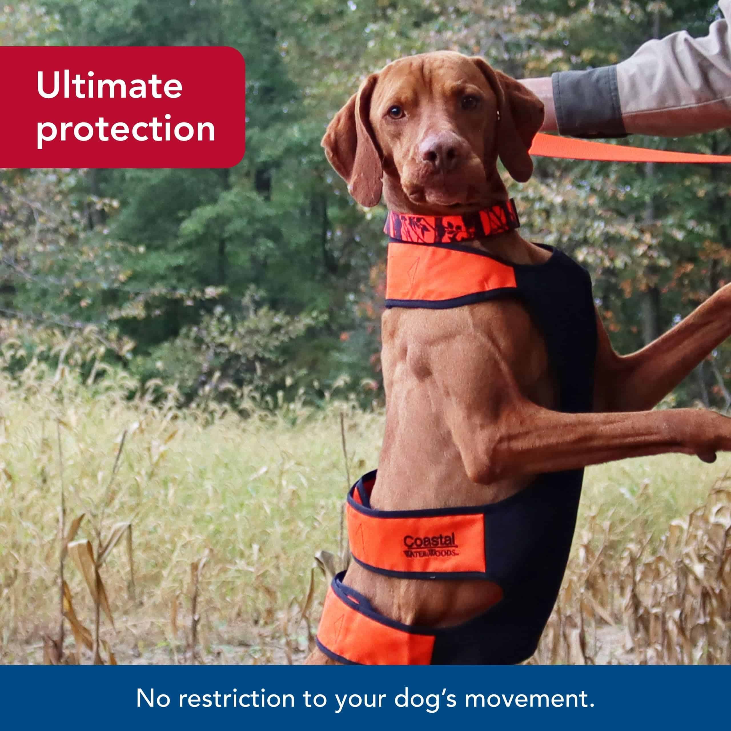 Protector de pecho para perros Water & Woods de Coastal Pet - Imagen 5